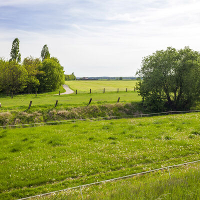Landschaft bei Muehlberg/Elbe